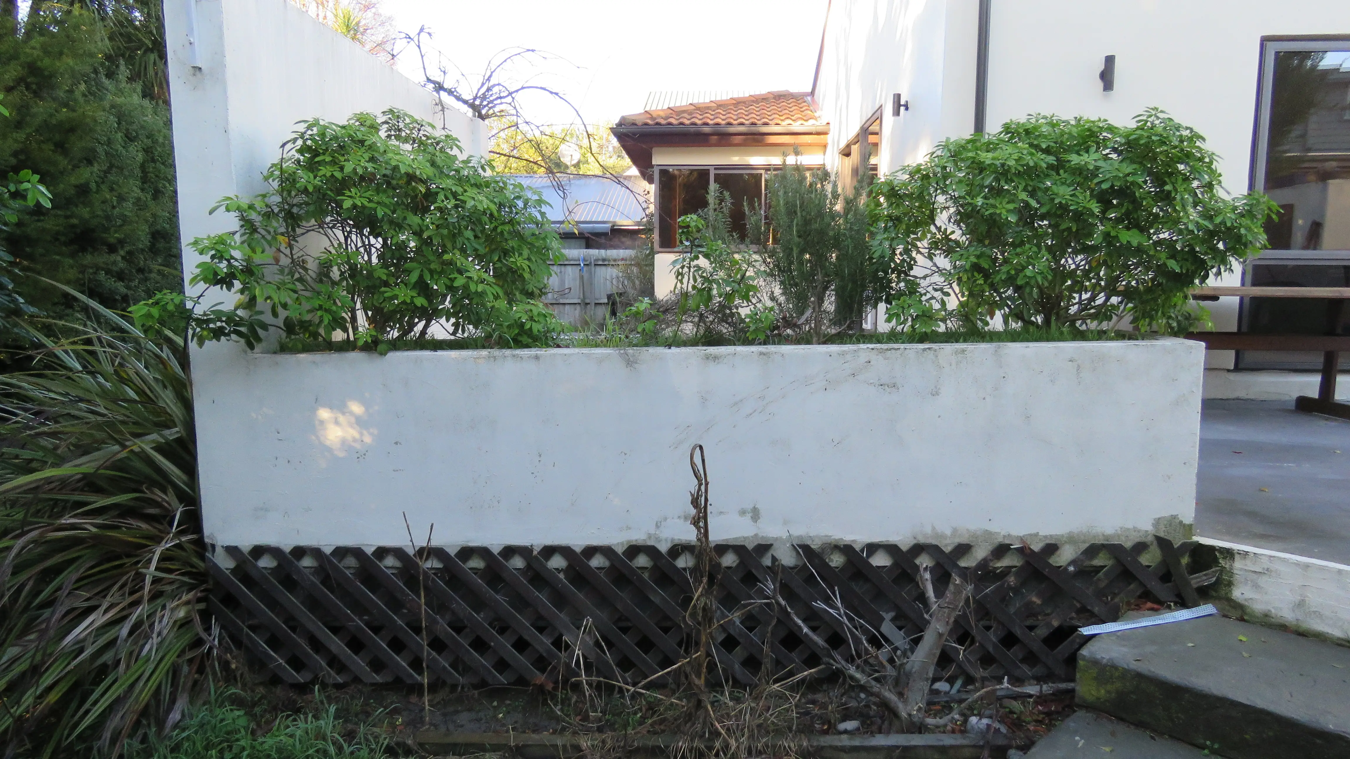 Courtyard & planter wall clean, before professional exterior cleaning