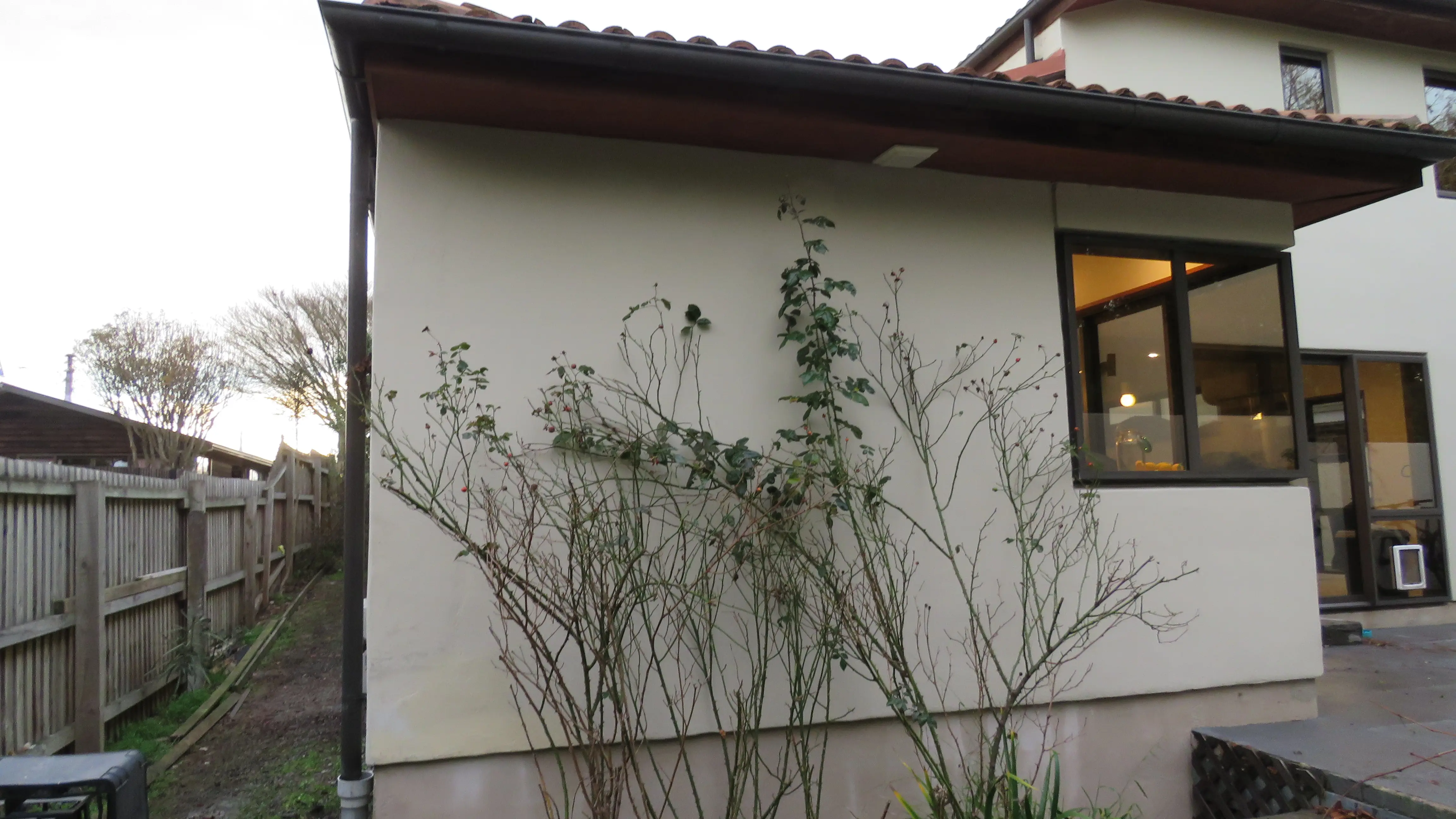 Plaster cladding house wash, after professional exterior cleaning in Canterbury
